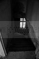 heilanstalt milbitz_130
